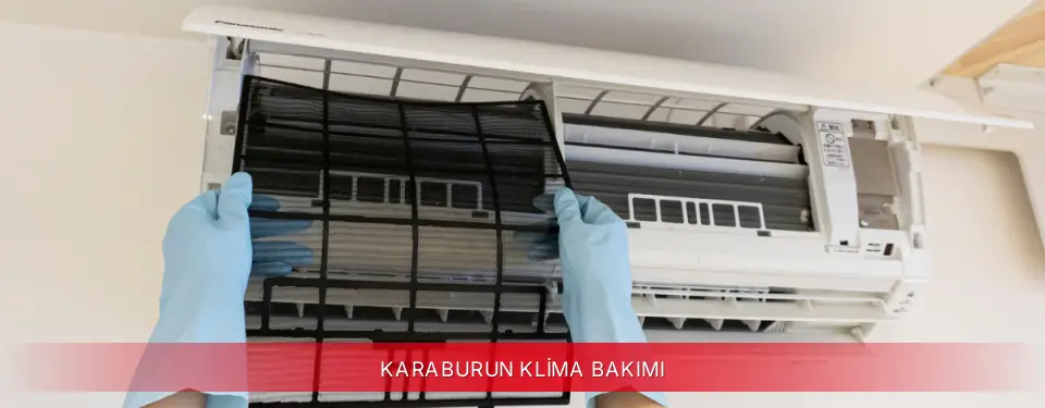 Karaburun İlçemi Mitsubishi Electric Klima Bakımı