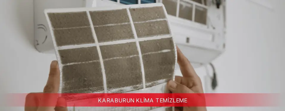 Karaburun İlçemi Mitsubishi Electric Klima Temizleme